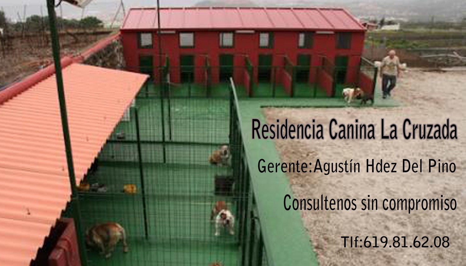 Lechuguilla entrenador Burro Residencia canina | Perrosdeoro Tenerife | Informacion de producto | 00013